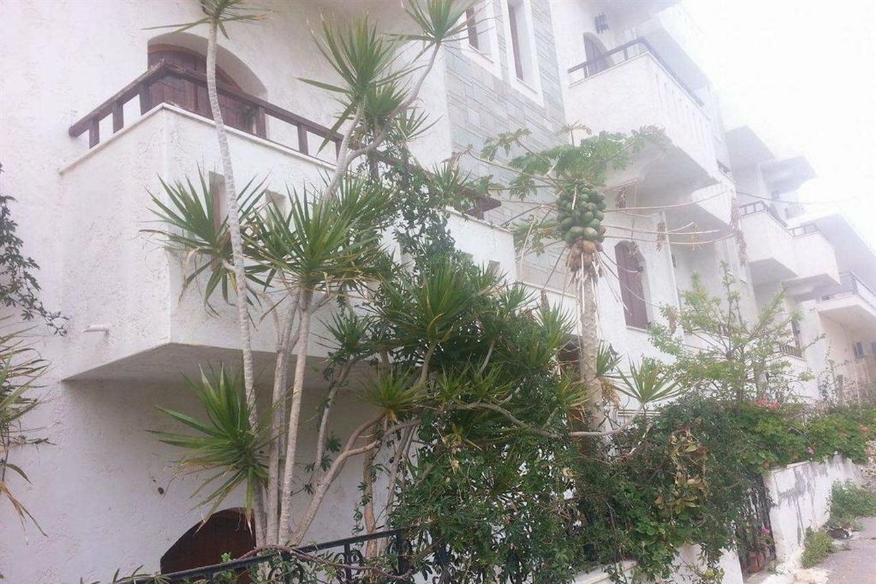 Irene Apartments Малиа Экстерьер фото
